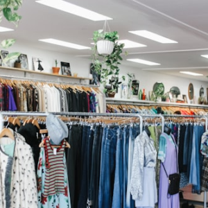 Thrift Store Finds Box